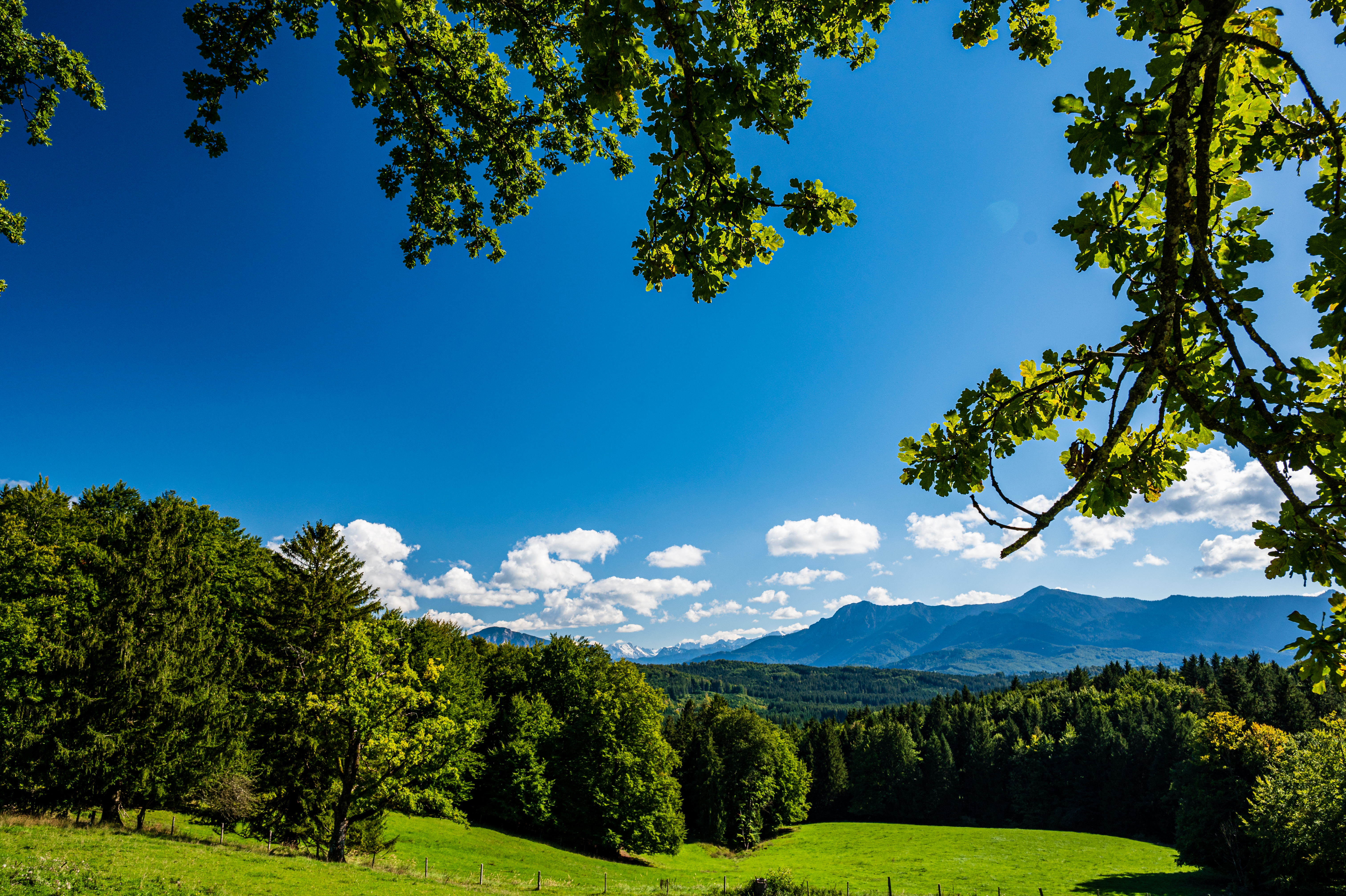 Wanderung Aidlinger Höhe